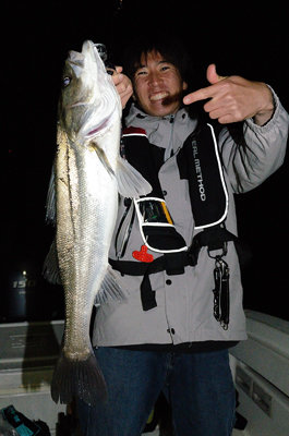 シーバス(スズキ)