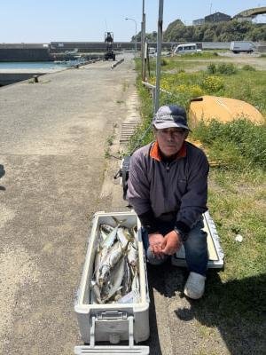 マアジ・イサキ