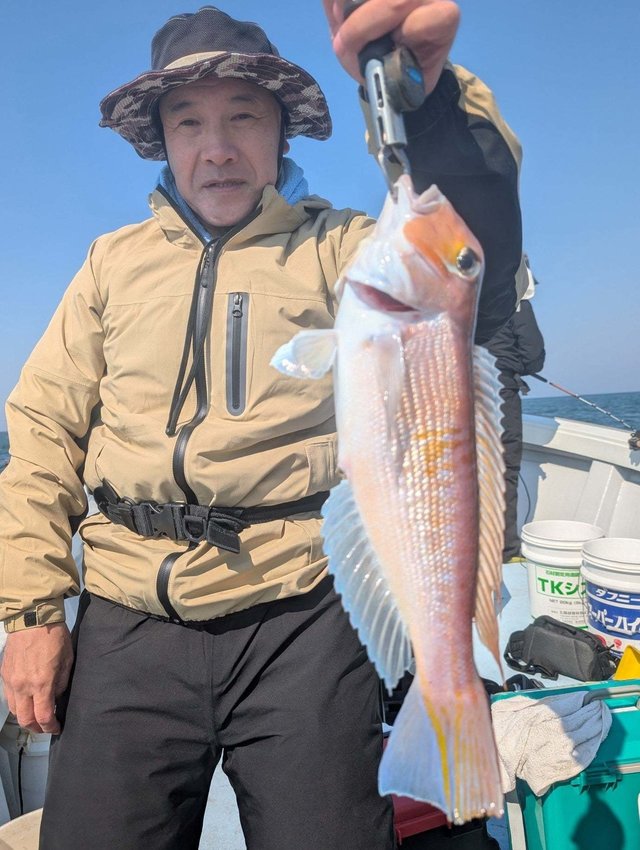 アマダイ(アカアマダイ)