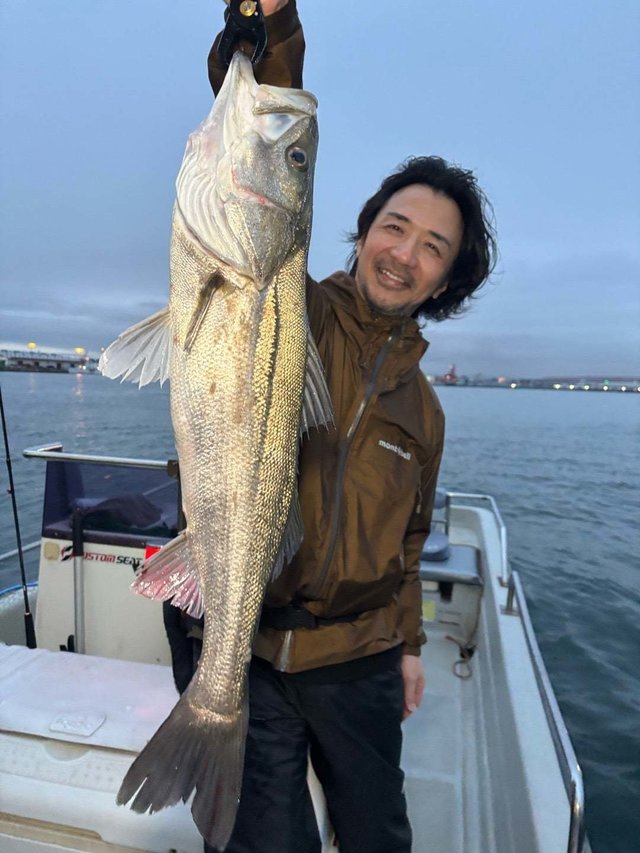 シーバス(スズキ)