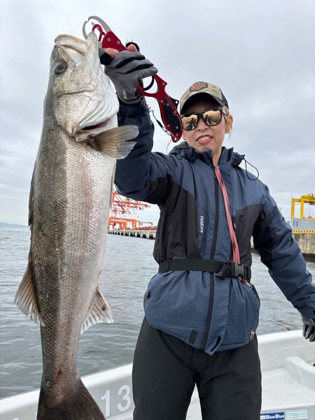 シーバス(スズキ)