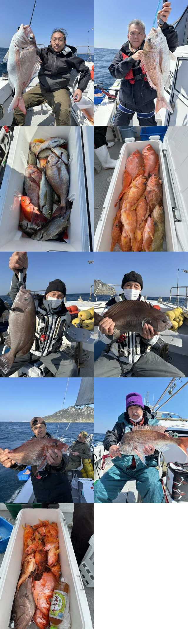 マダイ・メジナ・キントキ(チカメキントキ)・カサゴ