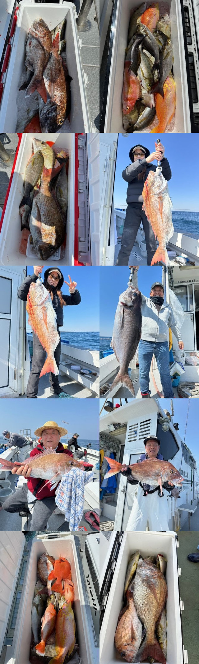 マダイ・イサキ・メダイ