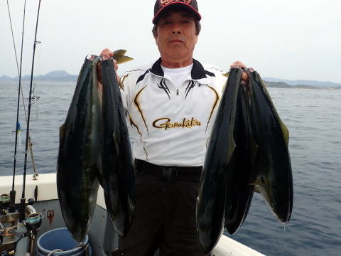 ブリ・ヒラマサ