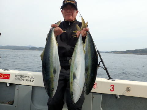 ブリ・ヒラマサ