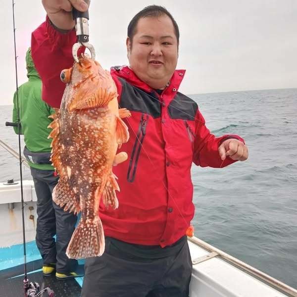 ボッコ(カサゴ)