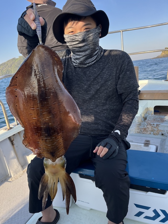 イカ(アオリイカ)