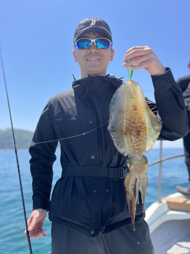 イカ(アオリイカ)