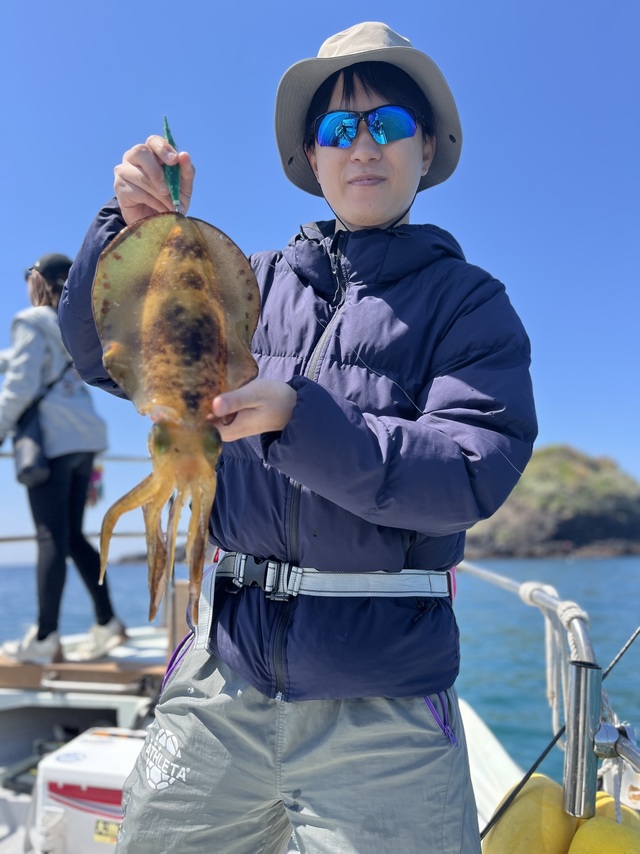 イカ(アオリイカ)