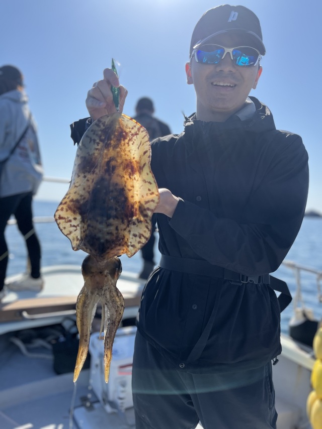 イカ(アオリイカ)