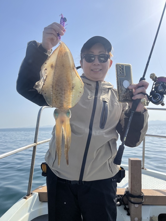 イカ(アオリイカ)