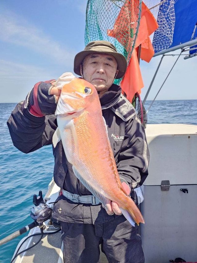 アマダイ(アカアマダイ)