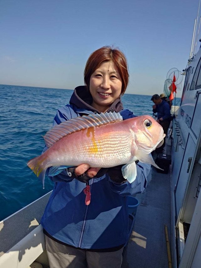 アマダイ(アカアマダイ)