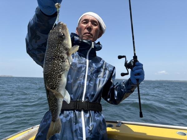 ショウサイフグ