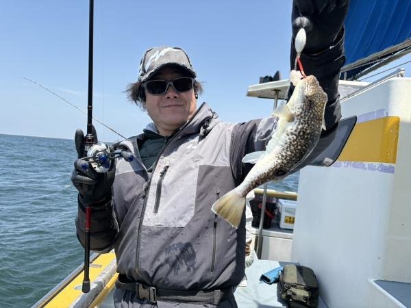 ショウサイフグ