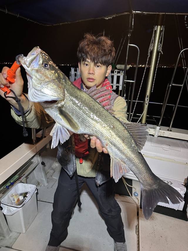 シーバス(スズキ)