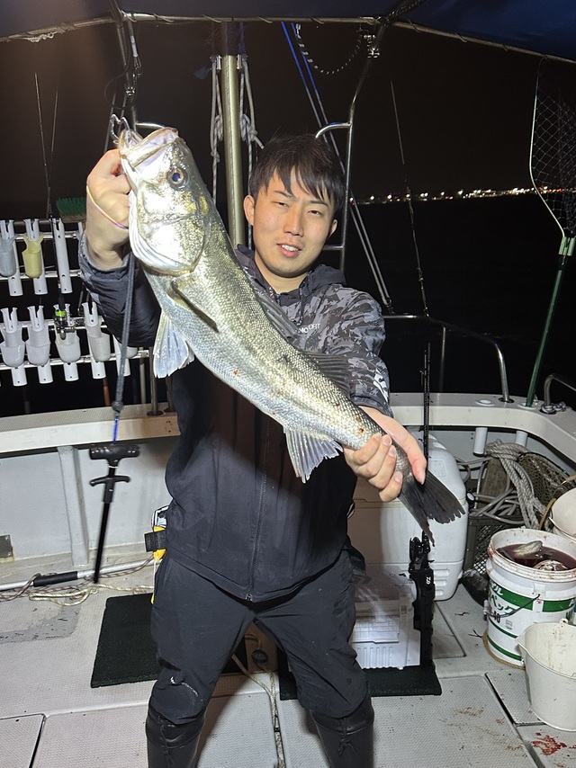 シーバス(スズキ)