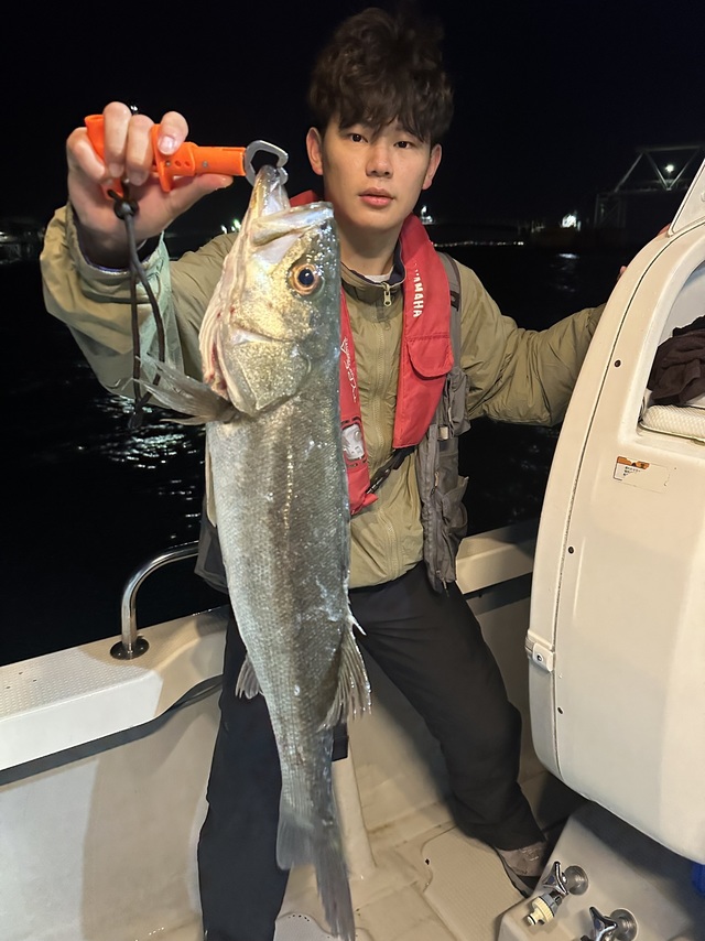 シーバス(スズキ)