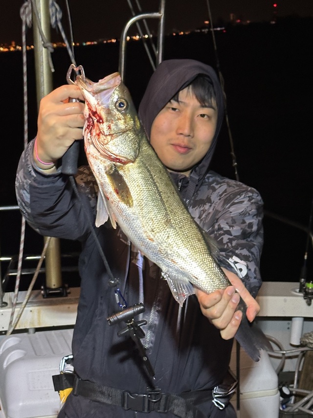 シーバス(スズキ)