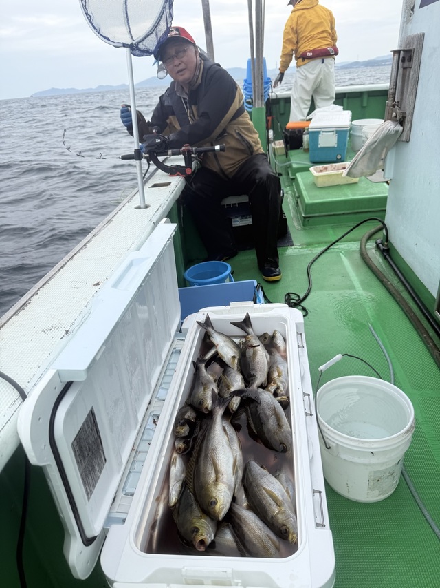 イサギ(イサキ)