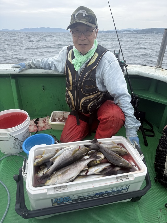 イサギ(イサキ)