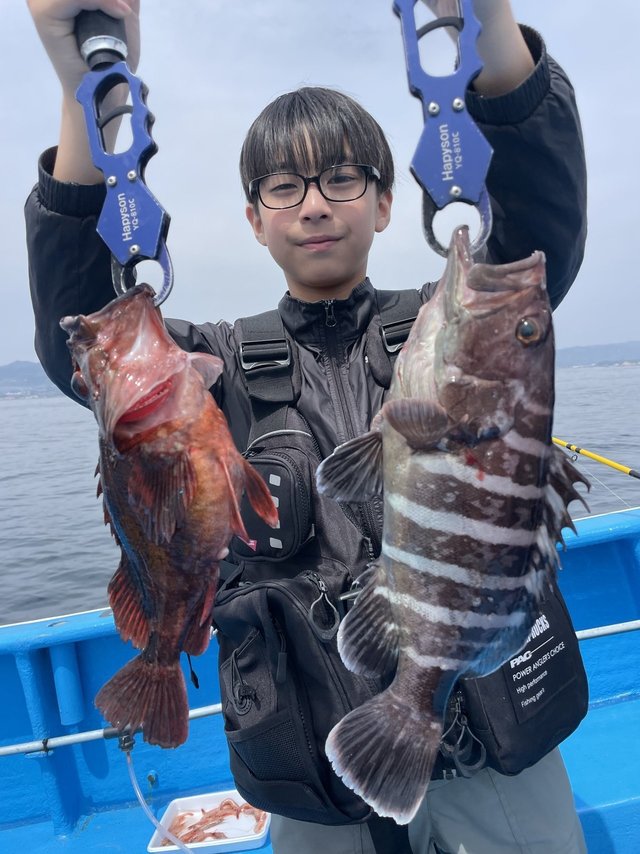 マハタ・カサゴ