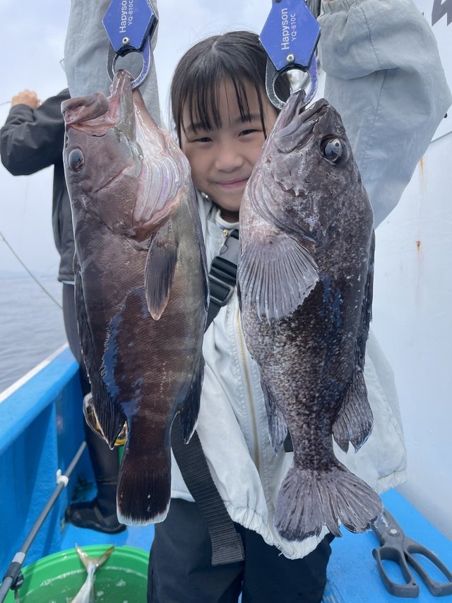 マゾイ(キツネメバル)