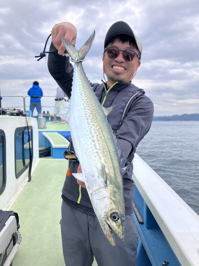 サゴシ(サワラ)