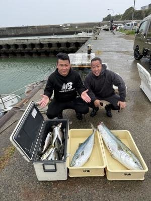 マアジ・ブリ・メジロ(ブリ)