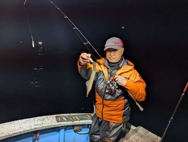 マイカ(ケンサキイカ)