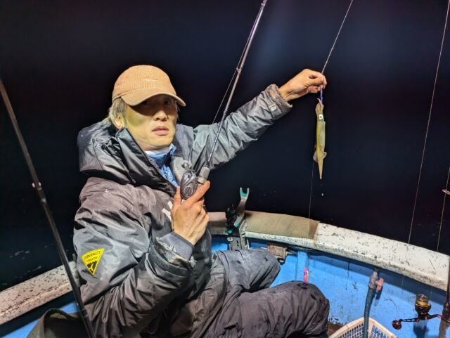 マイカ(ケンサキイカ)