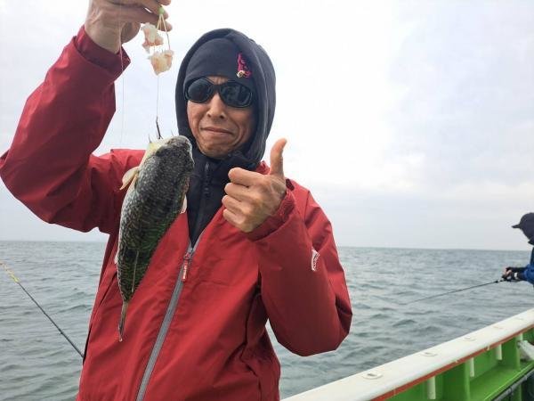 ショウサイフグ