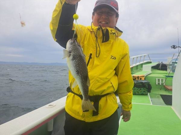 ショウサイフグ