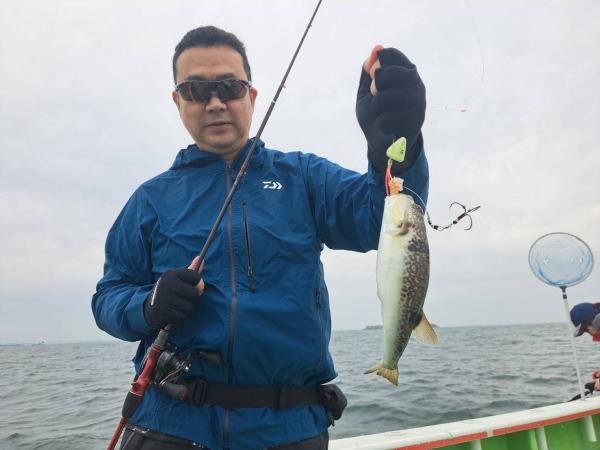 ショウサイフグ