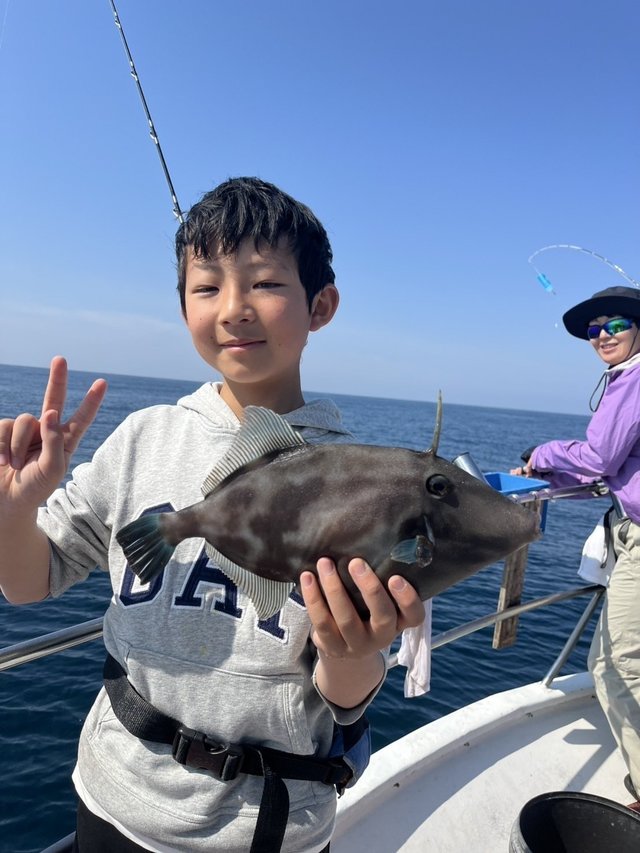 ウマズラハギ(ウマヅラハギ)