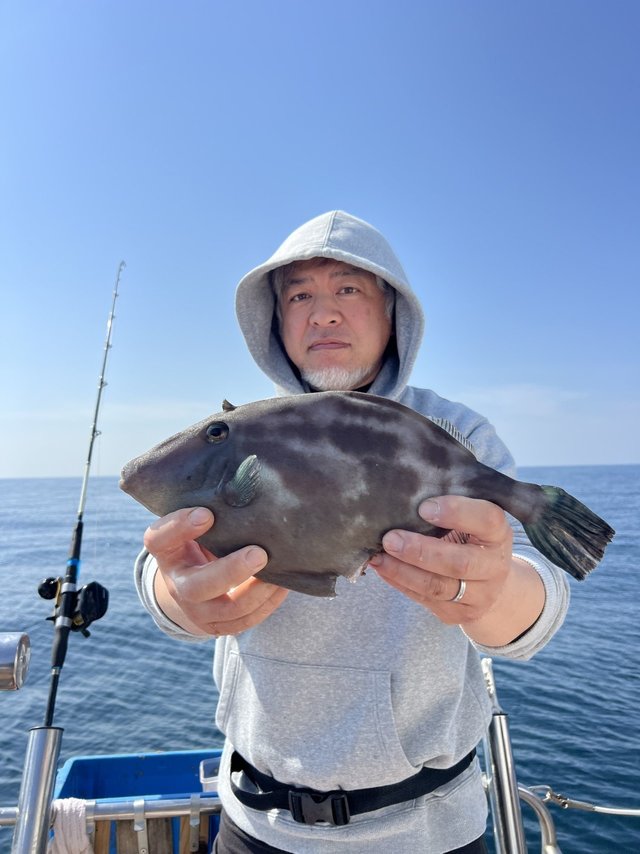 ウマズラハギ(ウマヅラハギ)