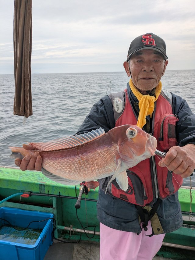 アマダイ(アカアマダイ)