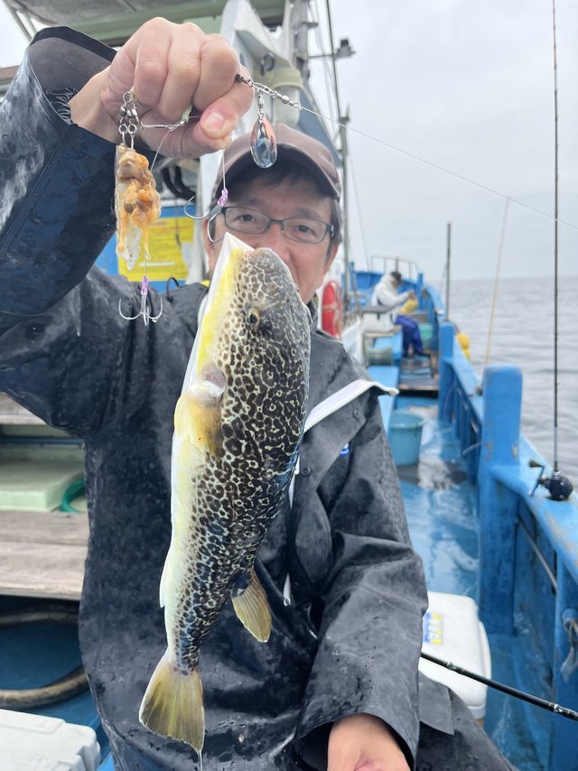 ショウサイフグ