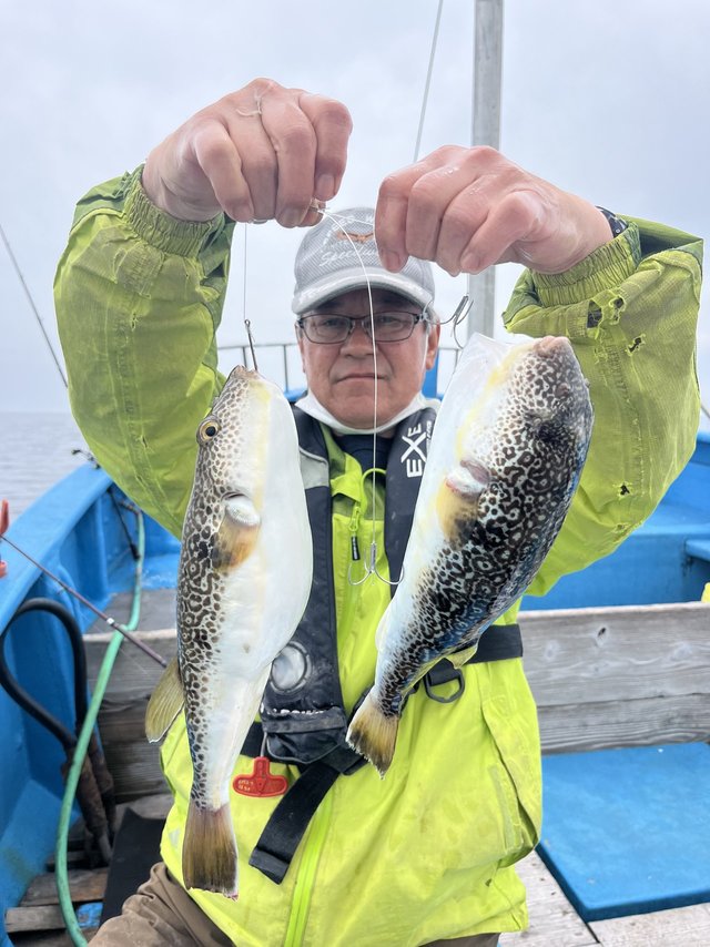 ショウサイフグ