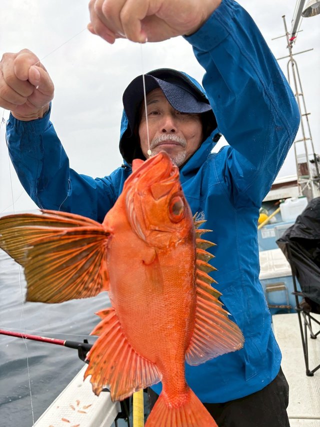 キントキ(チカメキントキ)