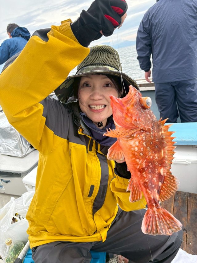 ガシラ(カサゴ)