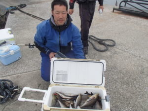 マアジ・イサキ