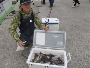 マアジ・イサキ