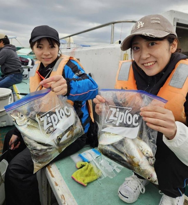 アジ(マアジ)・イシモチ(シログチ)