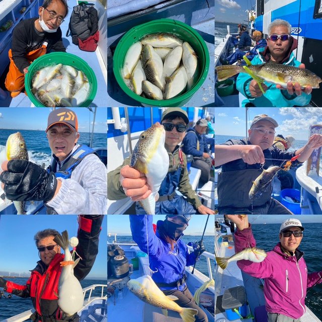 ショウサイフグ