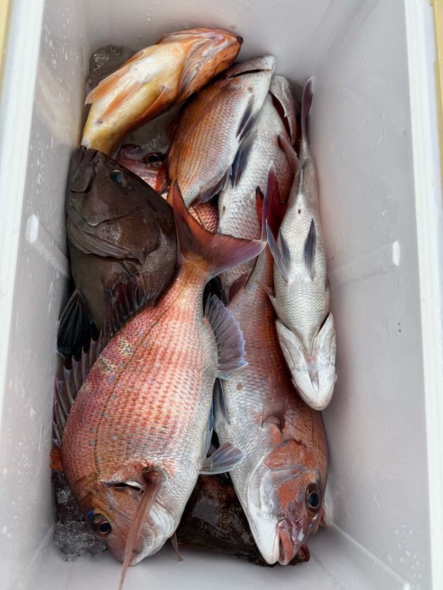 マダイ・マハタ