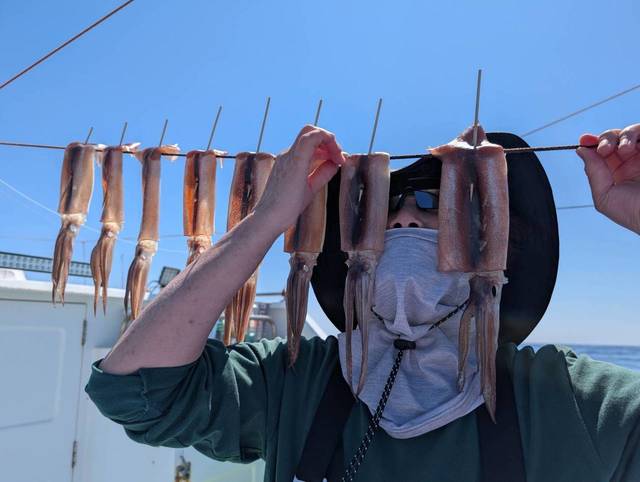 スルメ(スルメイカ)