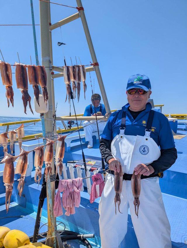 スルメ(スルメイカ)