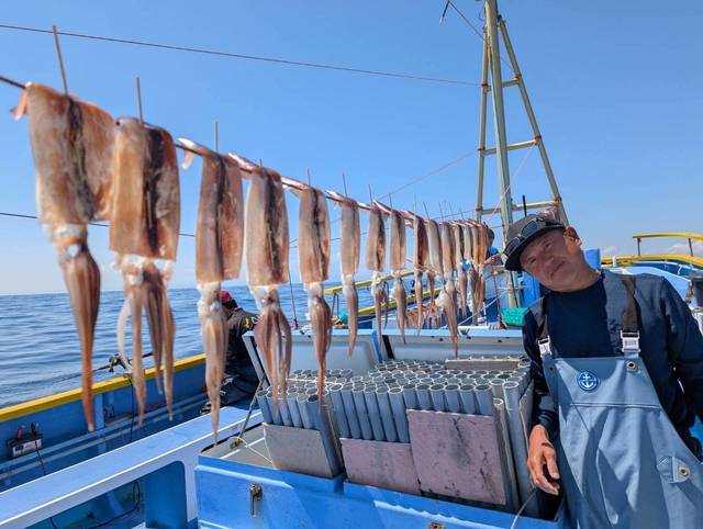 スルメ(スルメイカ)