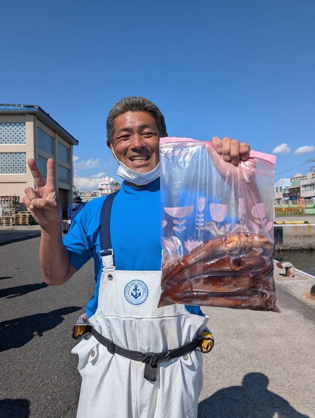 スルメ(スルメイカ)